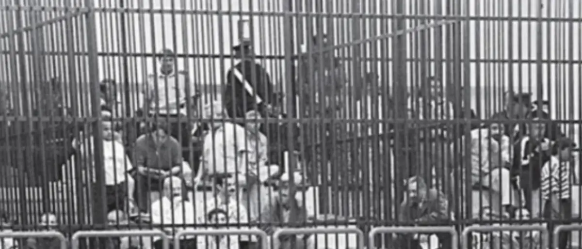 Addio alla 'ndrangheta di Cosenza, i \"dissociati\" prima di Michele Di Puppo