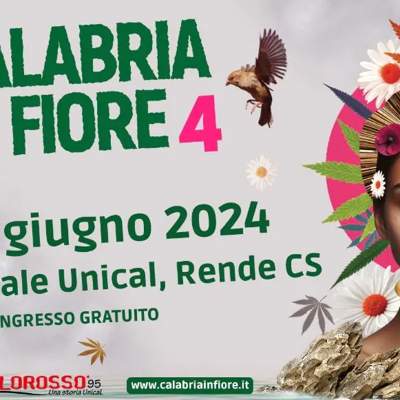 \"Calabria in Fiore 2024\": il Festival per la valorizzazione della canapicoltura a Rende