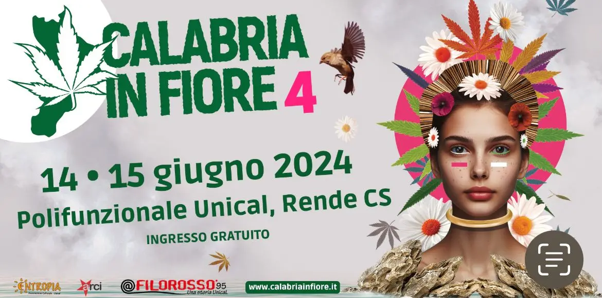\"Calabria in Fiore 2024\": il Festival per la valorizzazione della canapicoltura a Rende