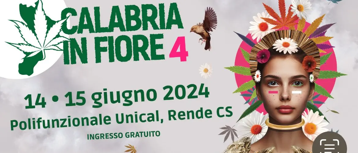 \"Calabria in Fiore 2024\": il Festival per la valorizzazione della canapicoltura a Rende