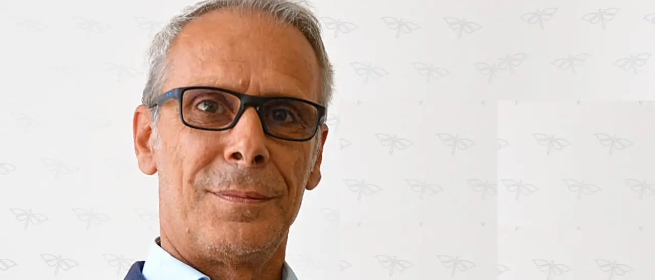 Elezioni Pedivigliano 2024 | Perri sindaco. I voti delle liste e dei candidati