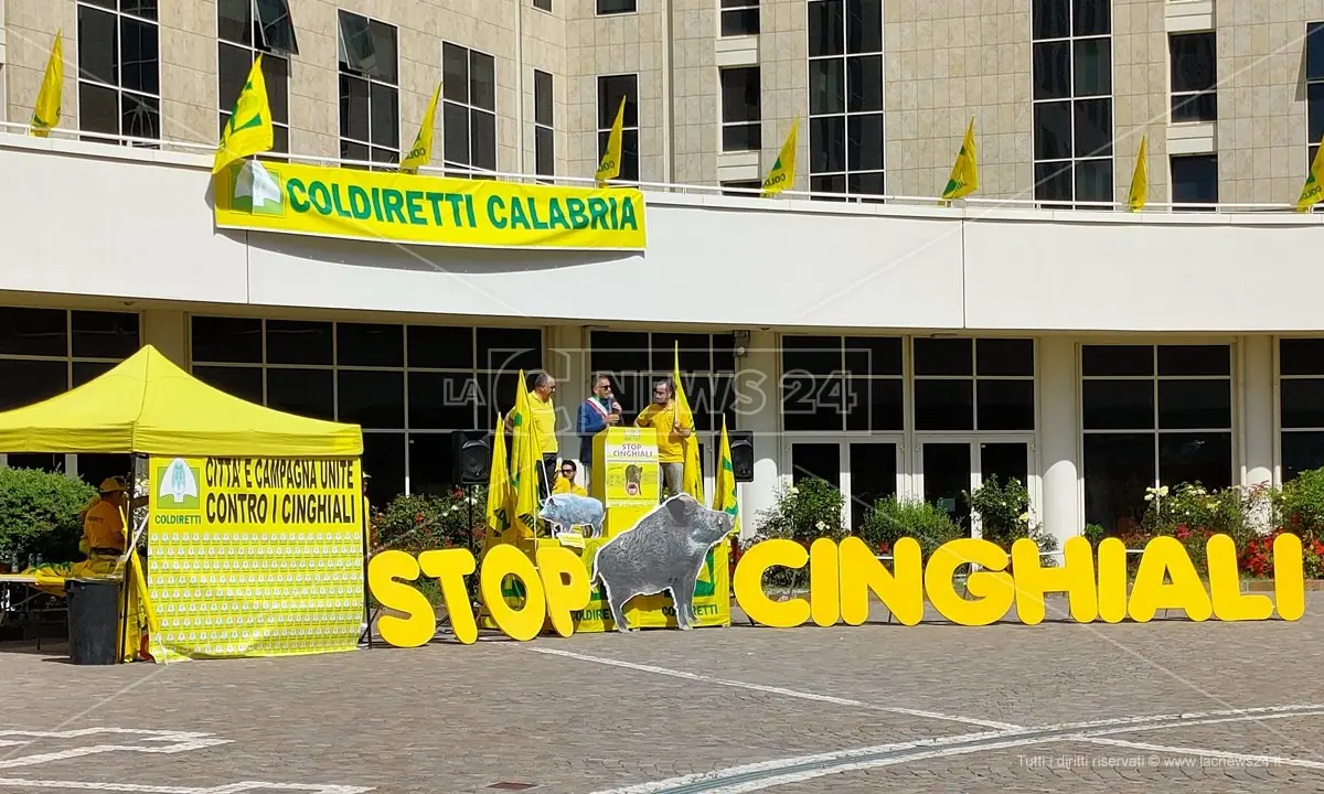 Cosenza, protesta Coldiretti martedì alle 9.30 sulla SS a Vaglio Lise: «Basta cinghiali»