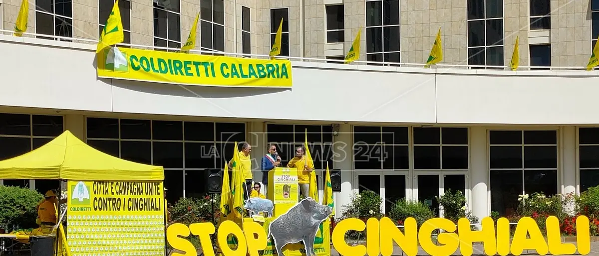Cosenza, protesta Coldiretti martedì alle 9.30 sulla SS a Vaglio Lise: «Basta cinghiali»