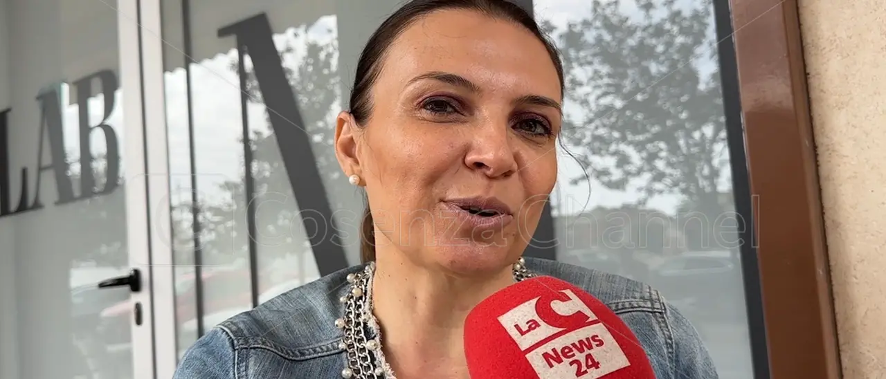 Madeo: «Succurro metta in sicurezza le scuole esistenti prima di acquistare nuovi edifici»