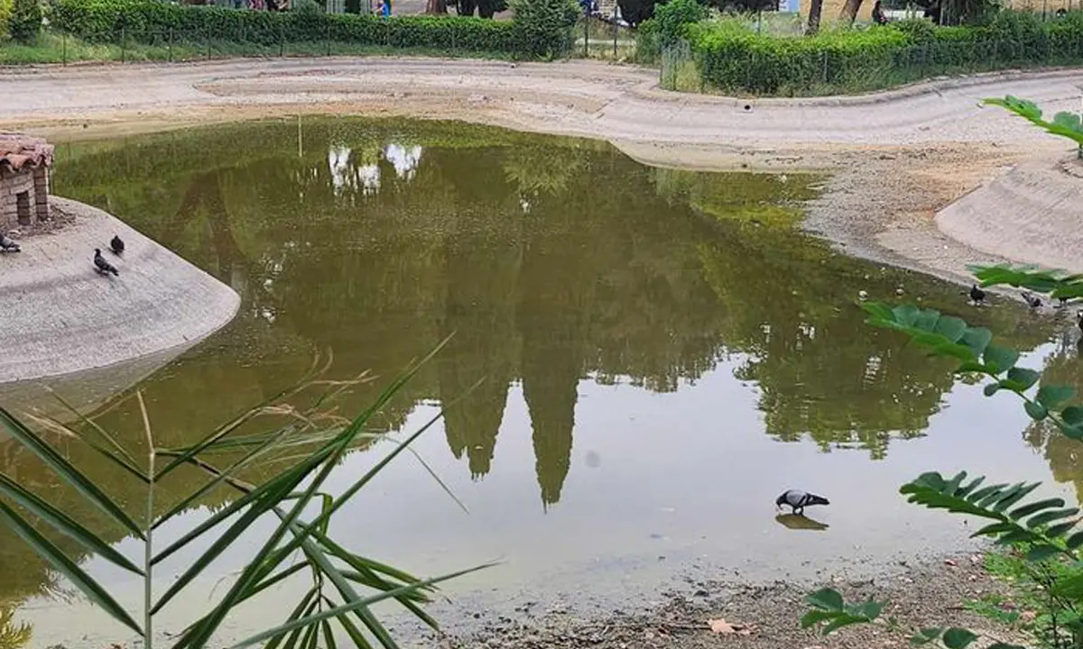 Rende, lavori in corso al laghetto del Parco Robinson. Trasferiti gli animali