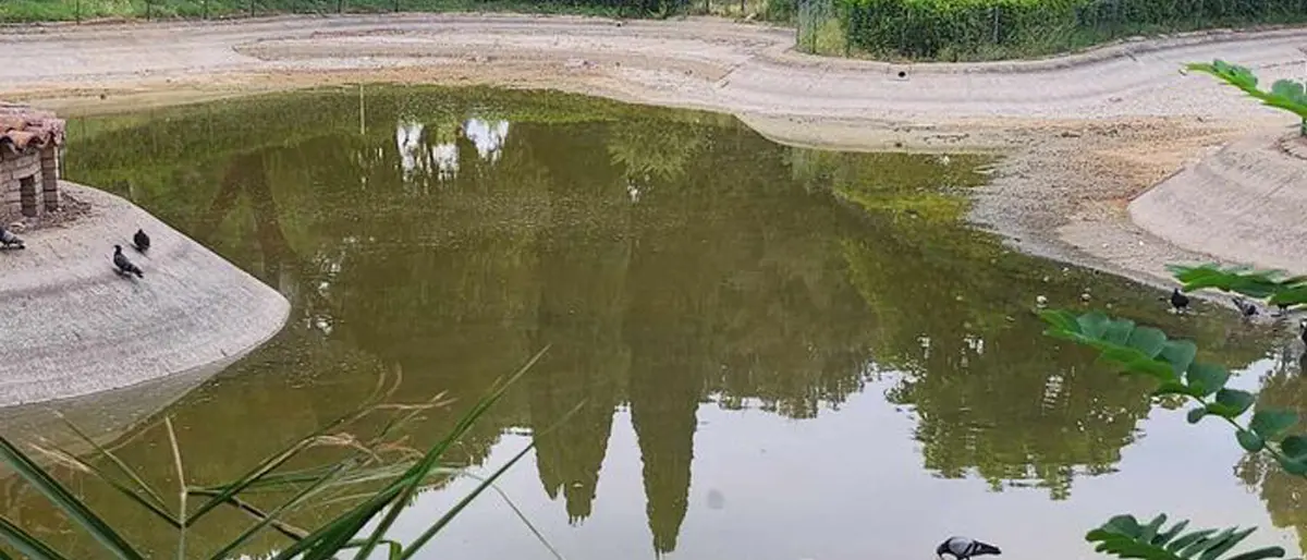 Rende, lavori in corso al laghetto del Parco Robinson. Trasferiti gli animali