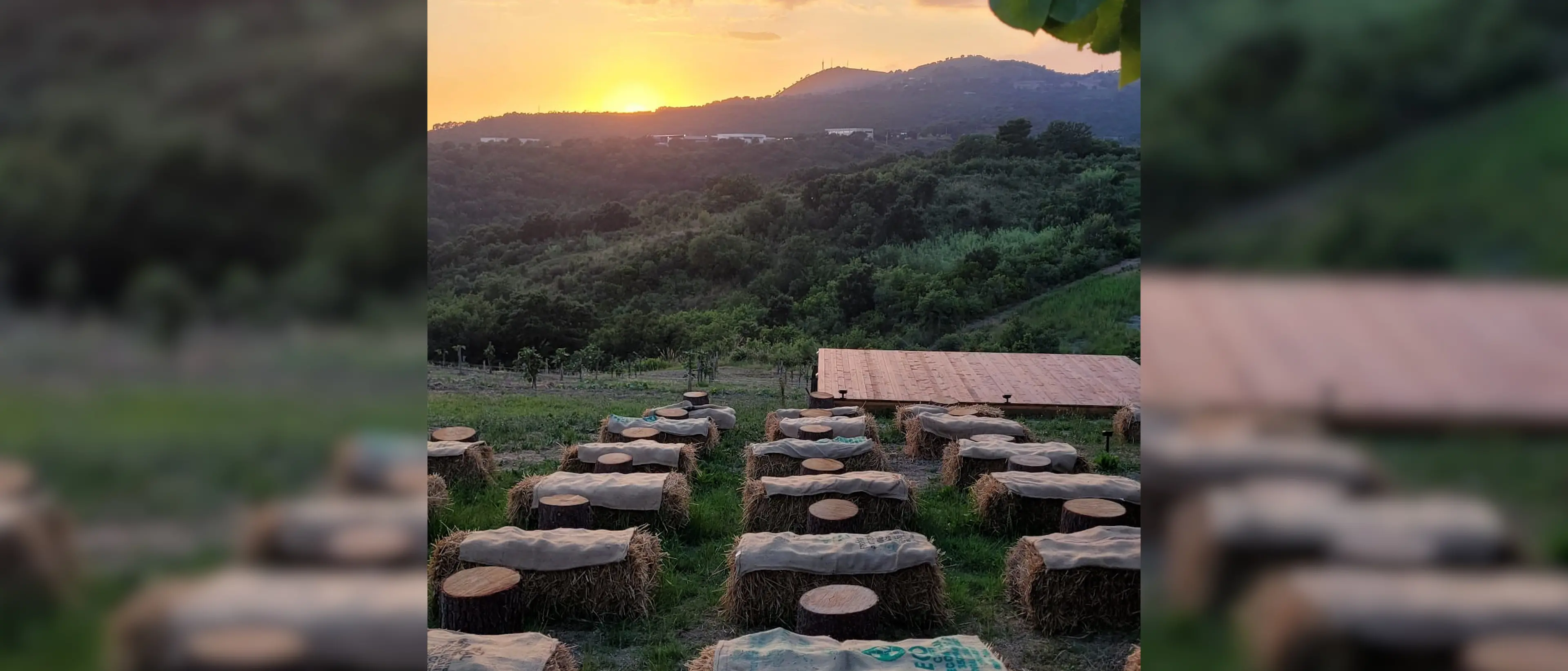 La Festa del Raccolto a Santa Domenica Talao: un omaggio alla natura e alla fertilità
