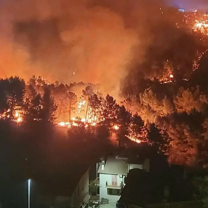 Rocca Imperiale, terrore per un vasto incendio. Il sindaco chiederà lo stato di calamità