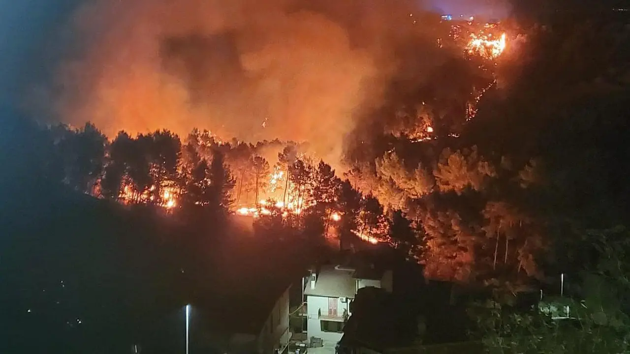 Rocca Imperiale, terrore per un vasto incendio. Il sindaco chiederà lo stato di calamità