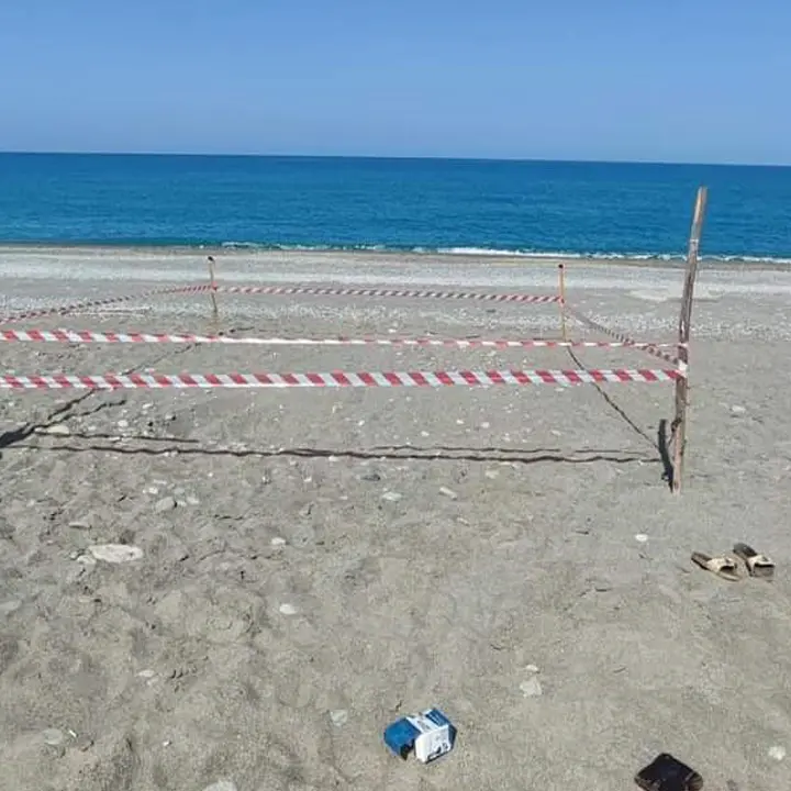 Paola, la tartaruga Caretta Caretta nidifica nello stesso posto dell'anno scorso