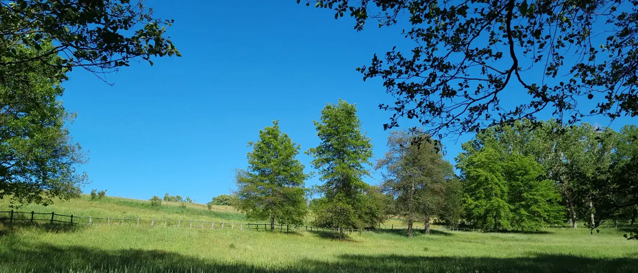 La Scuola Normale di Pisa a Camigliatello con i migliori studenti italiani