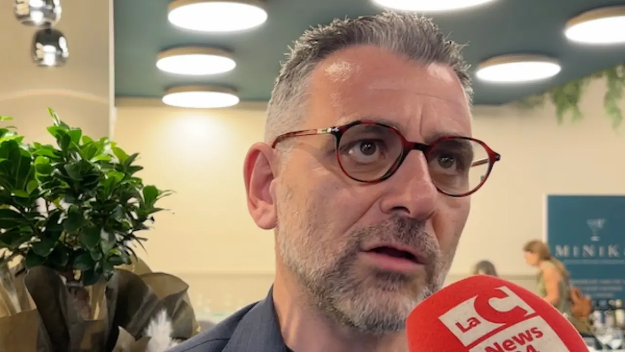 Carta degli Oli in Calabria: valorizzare l'extravergine per un futuro sostenibile