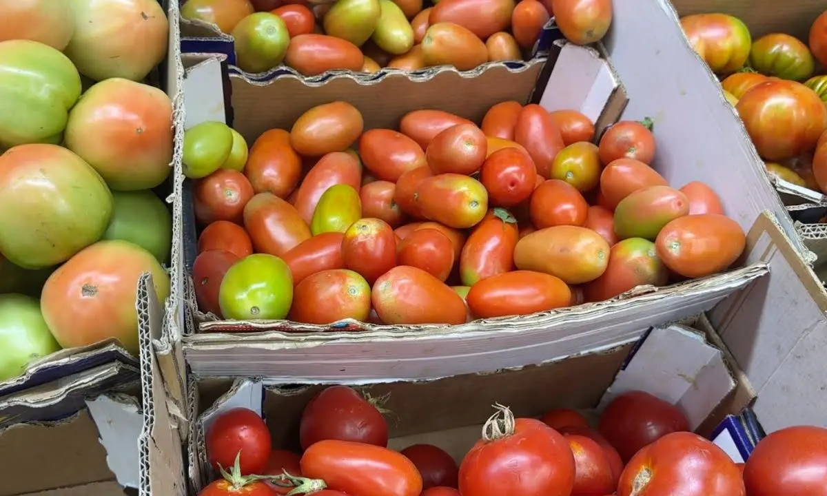 Corigliano Rossano, alle stelle i prezzi dei prodotti alimentari