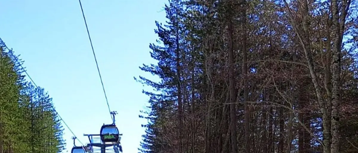 Lorica, riaprono gli impianti grazie a Ferrovie della Calabria