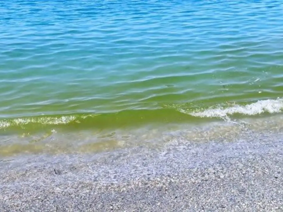 Mare sporco o pulito in Calabria? Scontro tra Goletta Verde e Arpacal