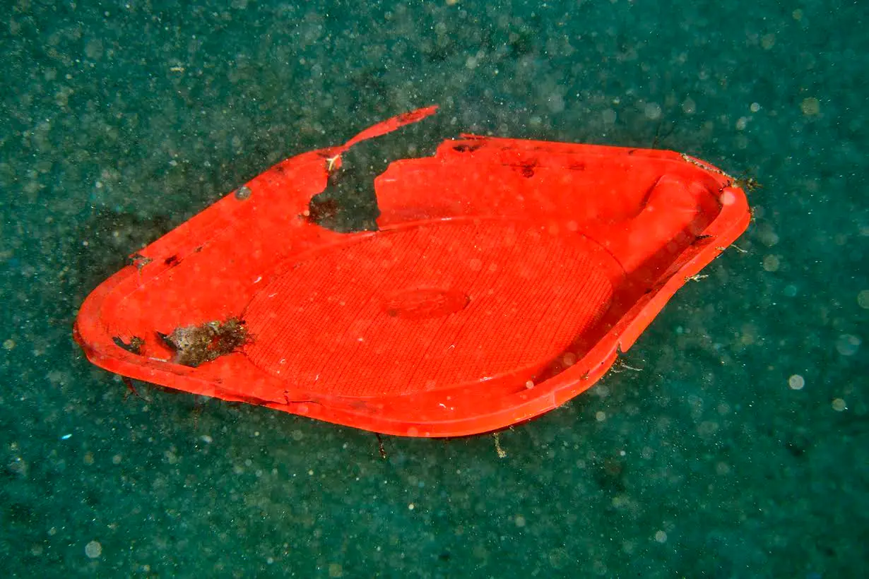 Il mare e i cambiamenti climatici, se n'è parlato grazie al Rotary di Rende
