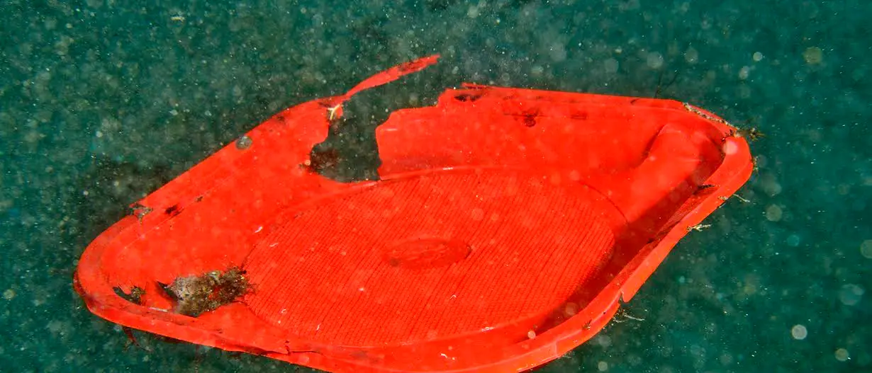 Il mare e i cambiamenti climatici, se n'è parlato grazie al Rotary di Rende