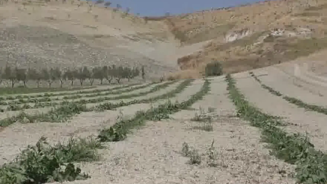 Siccità in Calabria, la Regione dichiara lo stato d'emergenza