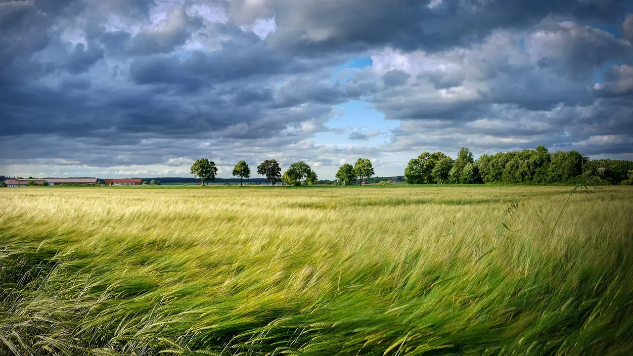 Meteo Cosenza, una tregua poi ancora maltempo con pioggia anche sui monti innevati\n