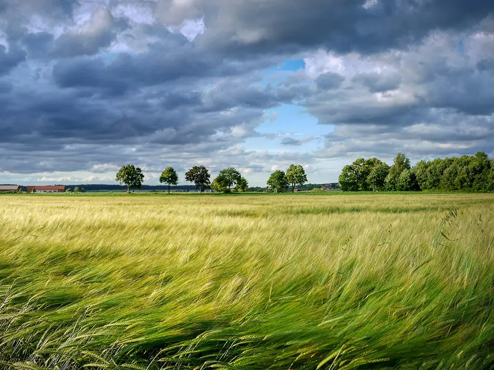 Meteo Cosenza, una tregua poi ancora maltempo con pioggia anche sui monti innevati