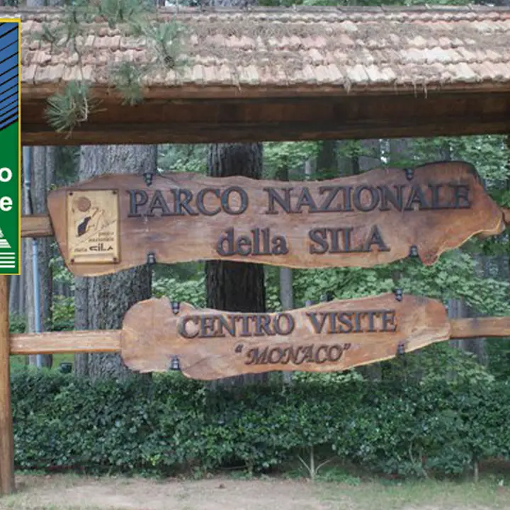 Parco Nazionale della Sila, il 3 agosto la cerimonia per il francobollo dedicato