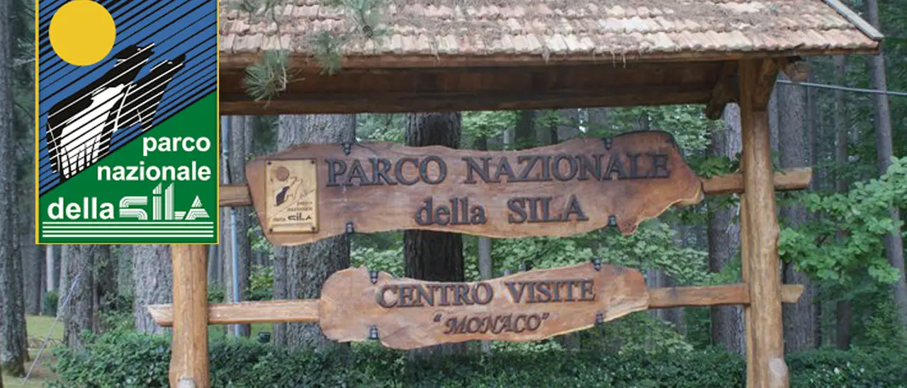 Parco Nazionale della Sila, il 3 agosto la cerimonia per il francobollo dedicato