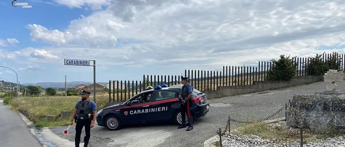 Sequestrati 150 chili di cocaina a Spezzano Albanese, blitz dei carabinieri di San Marco Argentano