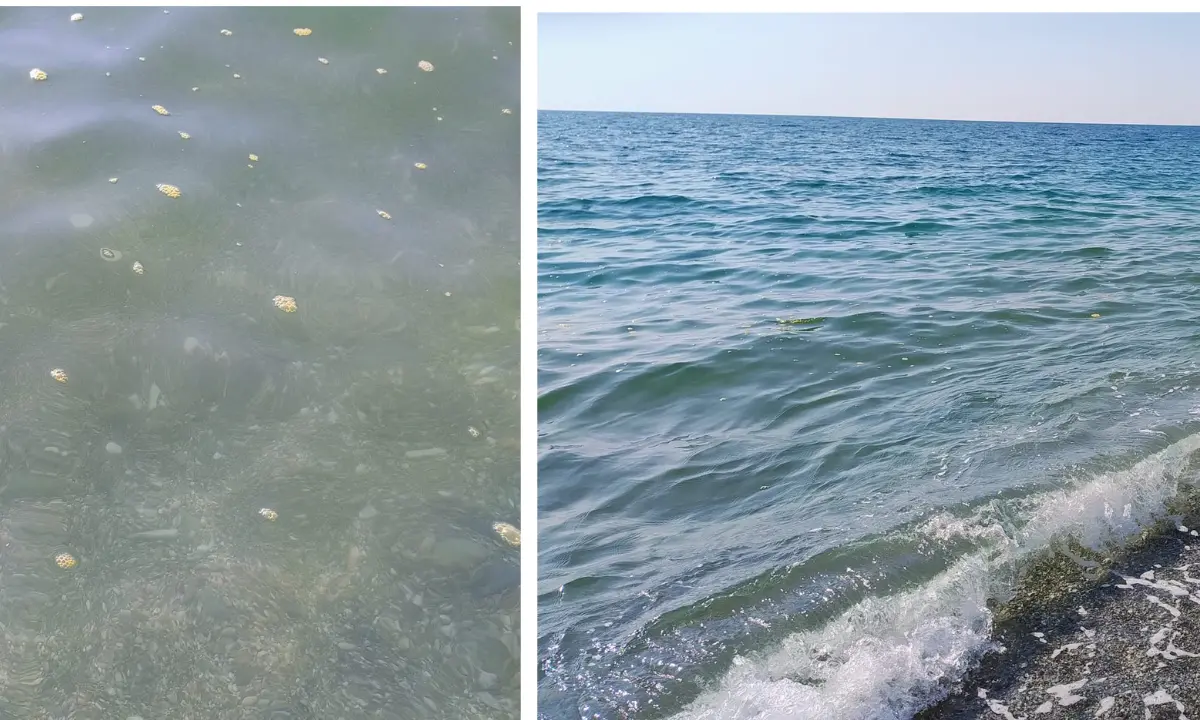 Mare, croce e delizia. Ad Amantea schiuma gialla e bagnanti all'asciutto