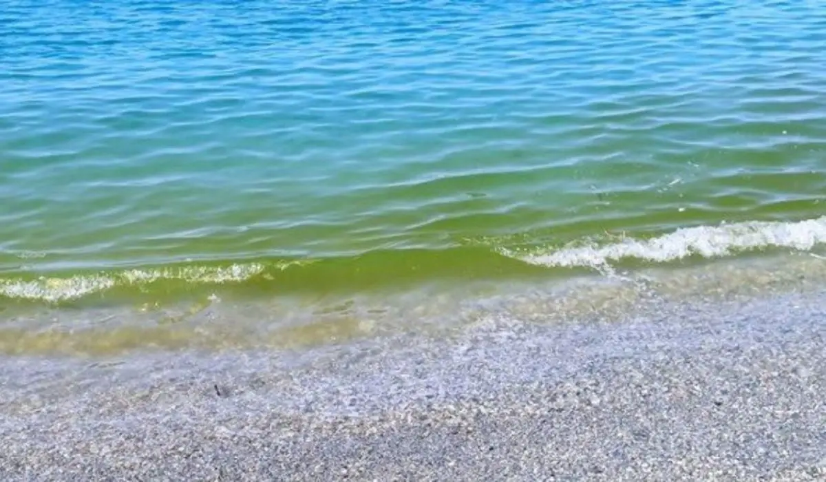 Bagnanti, nessuna paura. Il mar Tirreno calabrese non è inquinato: lo dice l'ArpaCal