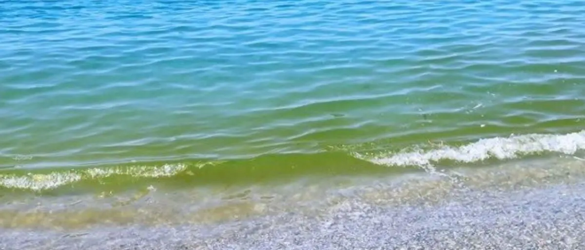 Bagnanti, nessuna paura. Il mar Tirreno calabrese non è inquinato: lo dice l'ArpaCal