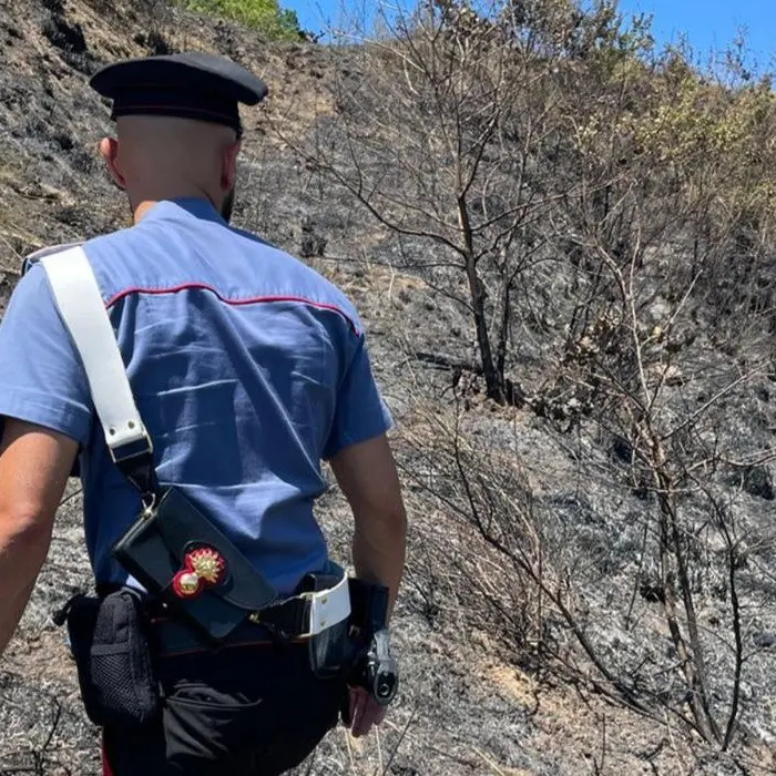 Cleto, sorpreso ad appiccare un incendio. I carabinieri lo arrestano