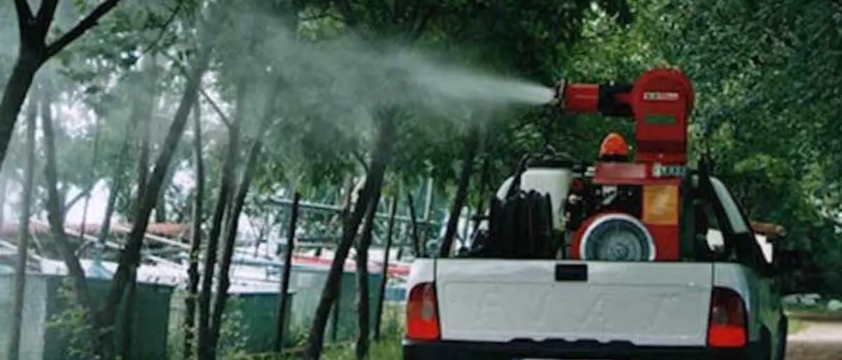 Disinfestazione a Rende, avviso importante per i cittadini