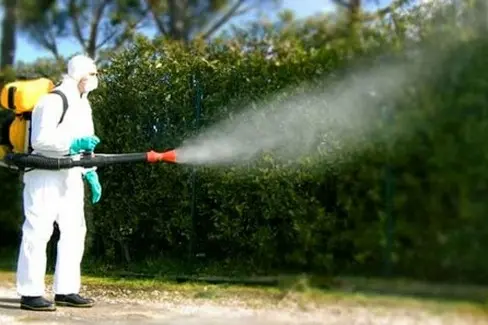 Rende, da domani via alle disinfestazioni. Ecco quando chiudere le finestre