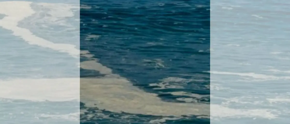 Proteste a Diamante per il mare sporco, cittadini e turisti preoccupati