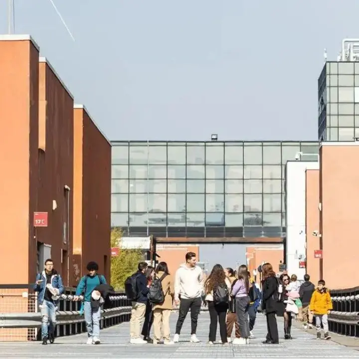 Università della Calabria, ecco il concorso per esperti tecnici-amministrativi