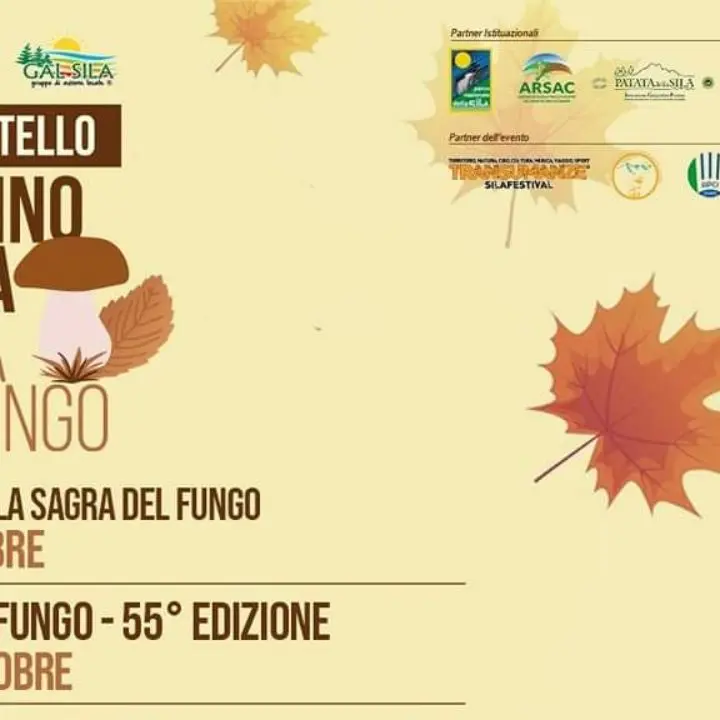 Sagra del Fungo di Camigliatello Silano, tutto pronto per la 55esima edizione | PROGRAMMA