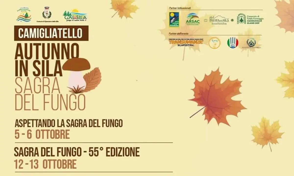 Sagra del Fungo di Camigliatello Silano, tutto pronto per la 55esima edizione | PROGRAMMA