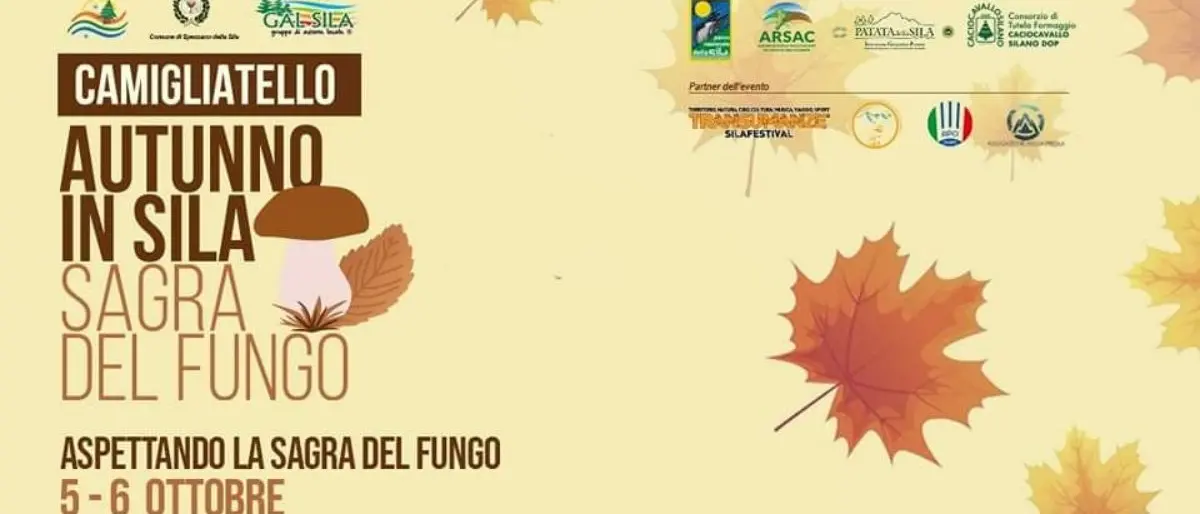 Sagra del Fungo di Camigliatello Silano, tutto pronto per la 55esima edizione | PROGRAMMA