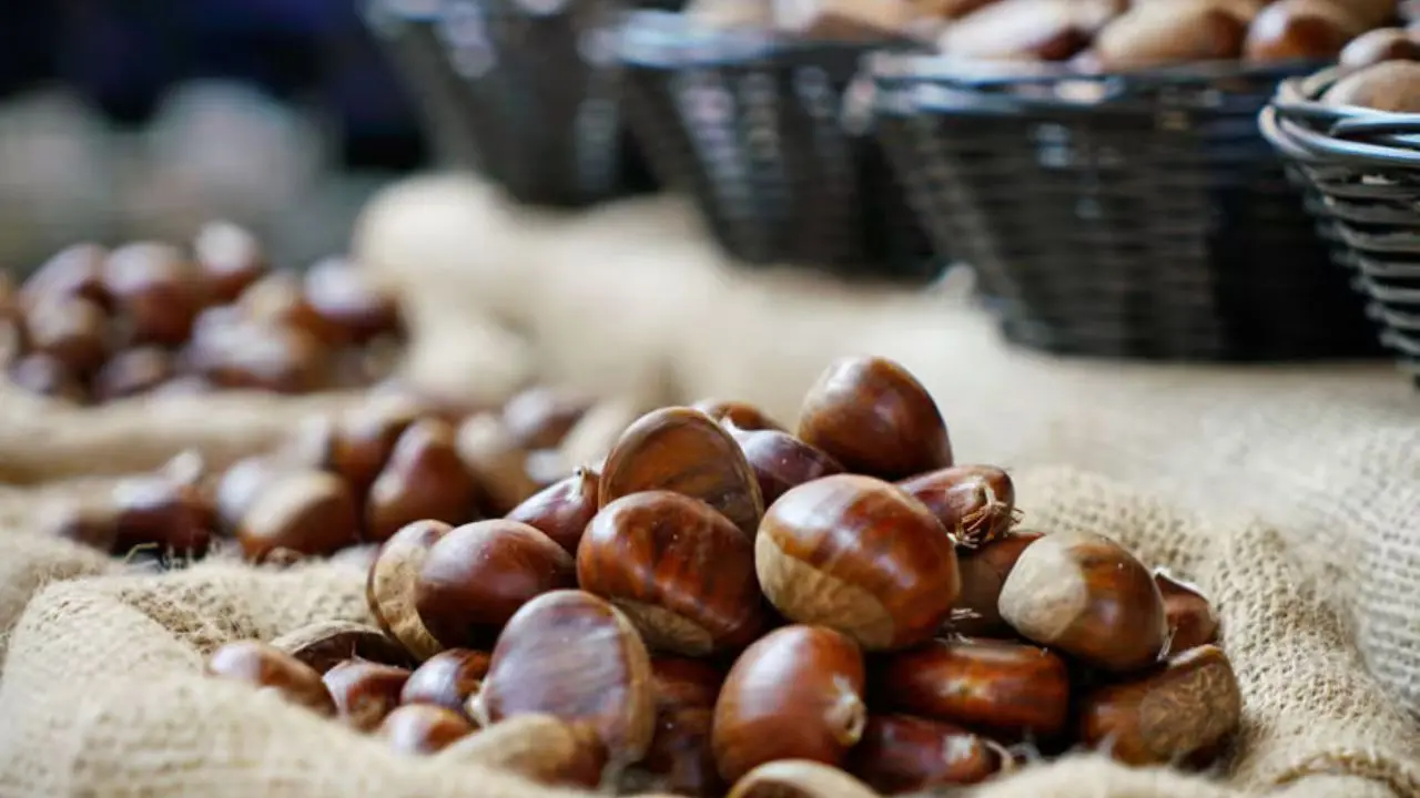 A Marano Marchesato la prima edizione del Festival d'Autunno: ecco il programma completo