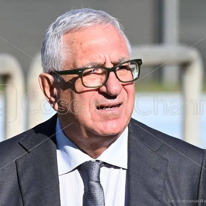 Ursino: «Cosenza? I tifosi facciano i tifosi ed aiutino la squadra»