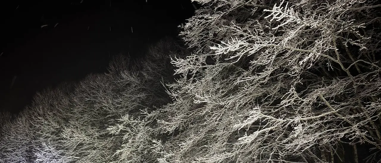 È arrivata la neve in Sila. Le prime immagini da cartolina - FOTO
