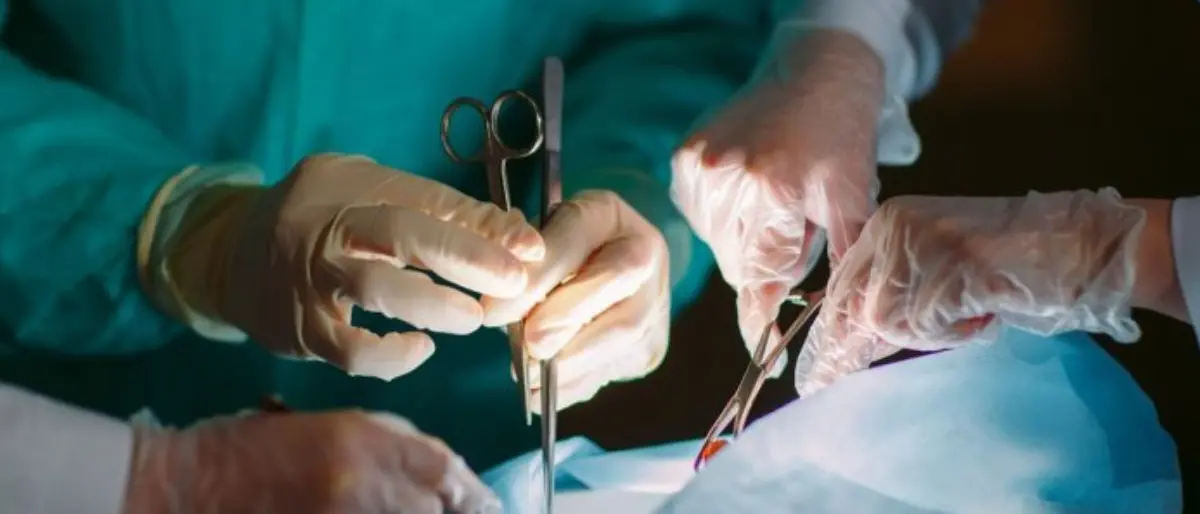 Record in Sicilia, 7 trapianti in un giorno all'Ismett di Palermo