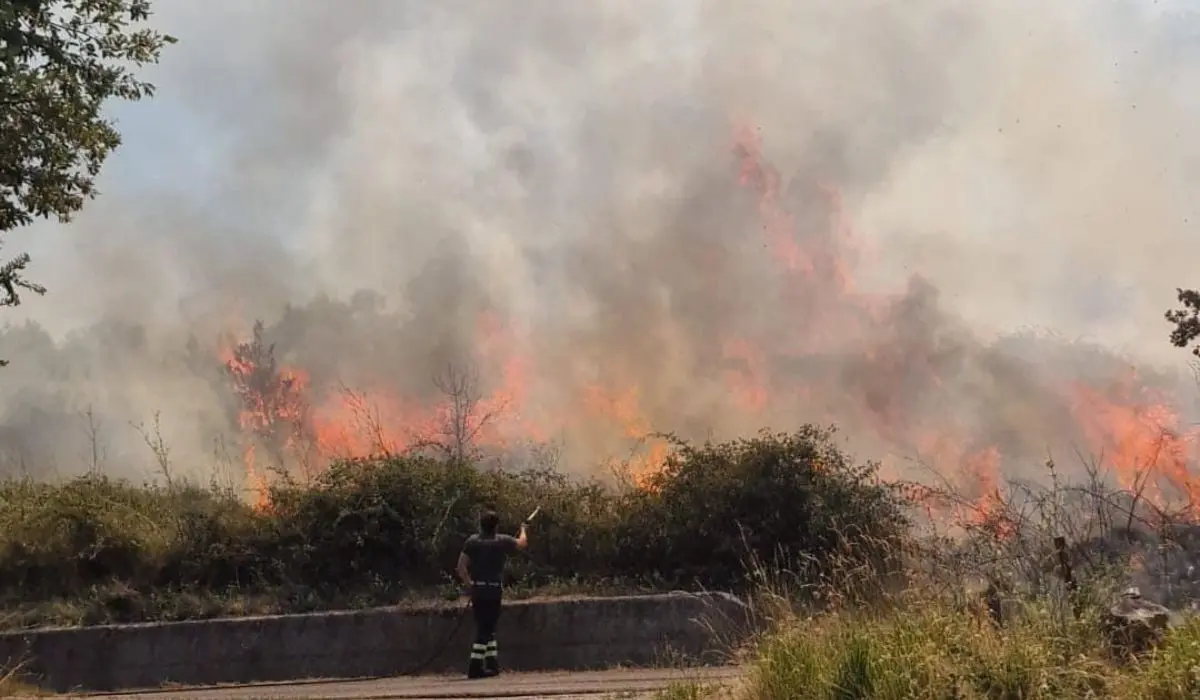 Campagna anti incendio boschivo al termine, nell'estate 2024 numeri in calo