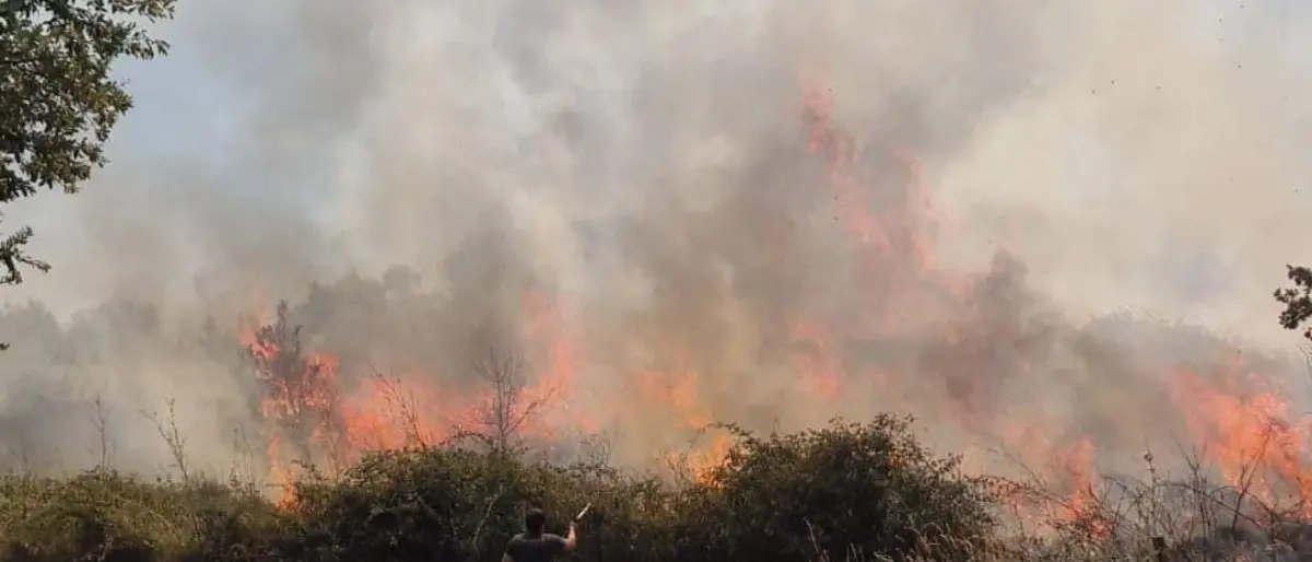 Chiusura della strada provinciale 94: incendio a Gesuiti di San Vincenzo La Costa