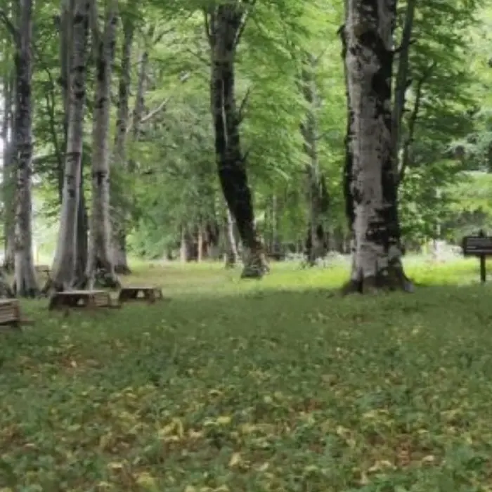 I Piani di Masistro, un tesoro incredibile del Parco Nazionale del Pollino