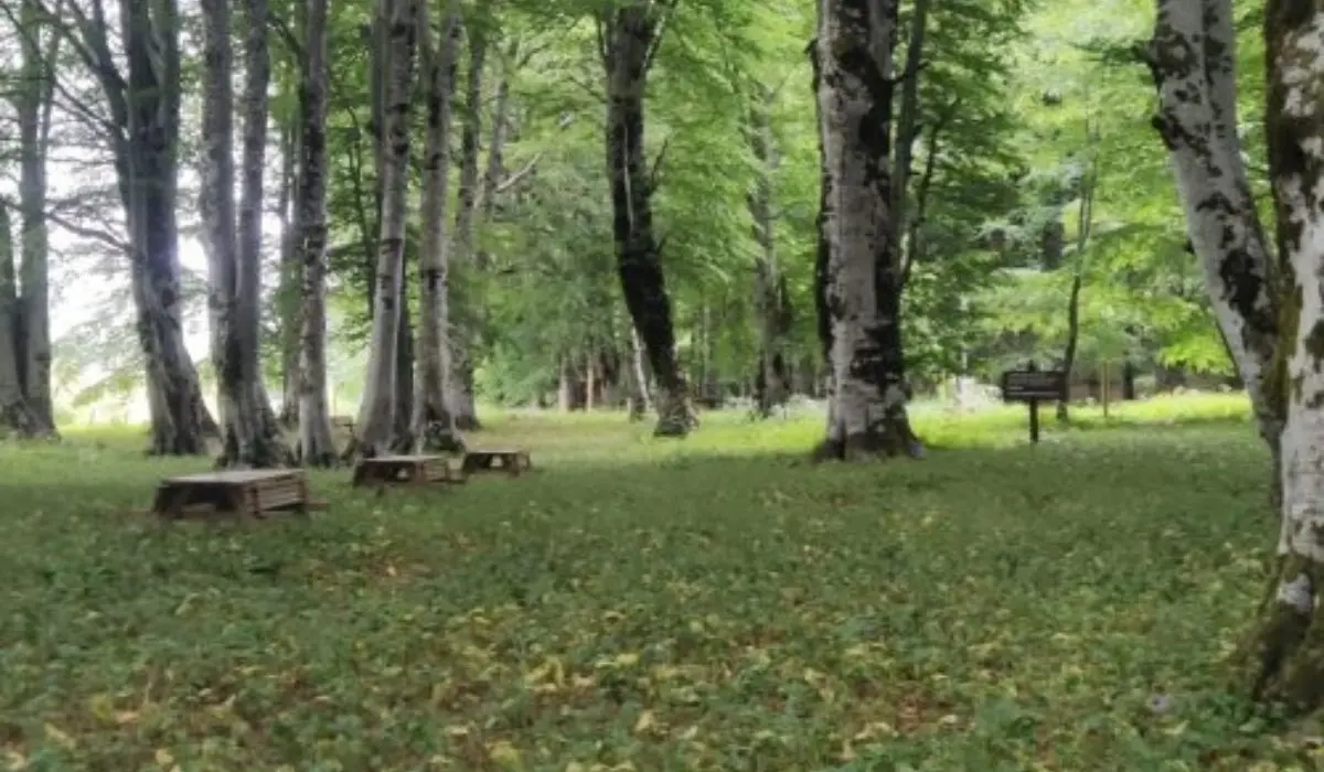 I Piani di Masistro, un tesoro incredibile del Parco Nazionale del Pollino