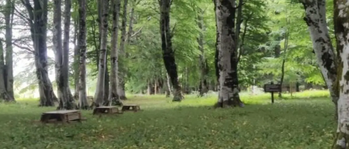 I Piani di Masistro, un tesoro incredibile del Parco Nazionale del Pollino