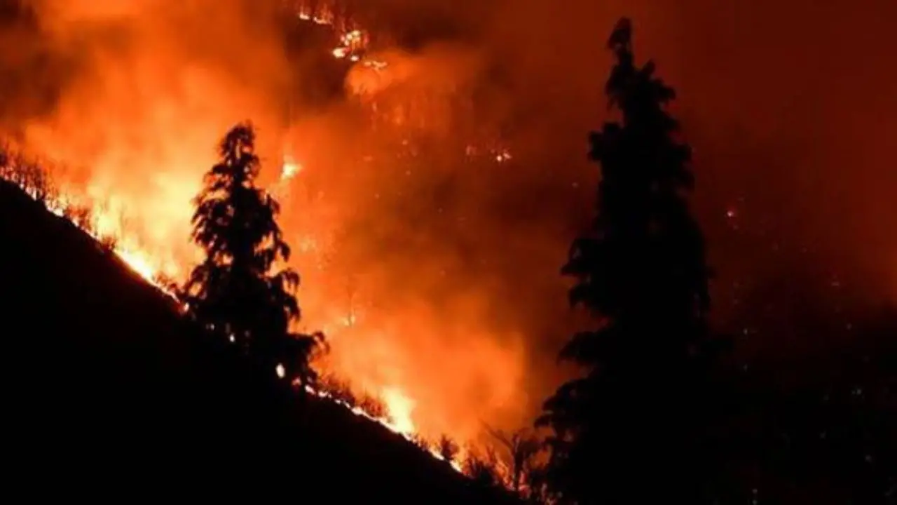 Vigili del Fuoco, in provincia è emergenza personale: «Lavoriamo con turni raddoppiati»