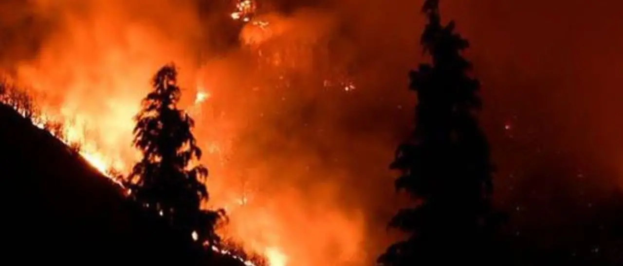 Vigili del Fuoco, in provincia è emergenza personale: «Lavoriamo con turni raddoppiati»