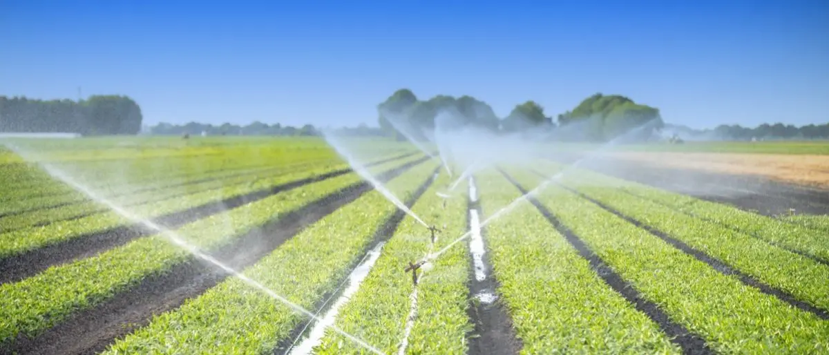 Lotta all’abusivismo nell’irrigazione, misure ancora più forti del Consorzio di Bonifica Calabria